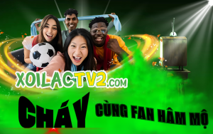 tổng hợp kết quả bóng đá đêm qua – theo ngày