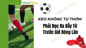 Hình ảnh chuyên gia soi kèo bóng đá XoilacTV đang phân tích tỷ lệ kèo, biến động odds và lịch thi đấu sát giờ.
