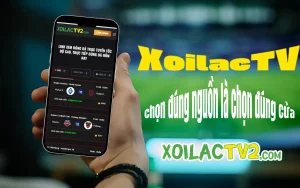 Hình ảnh slogan về việc không biết đọc kèo và bảng tỷ lệ kèo bóng đá hôm nay