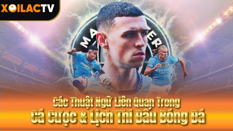 Mối Liên Quan Trong Cá Cược & Lịch Thi Đấu Bóng Đá