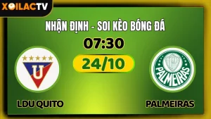 Nhận Định LDU Quito vs Palmeiras 24/10 – Soi Kèo Copa Libertadores XoilacTV